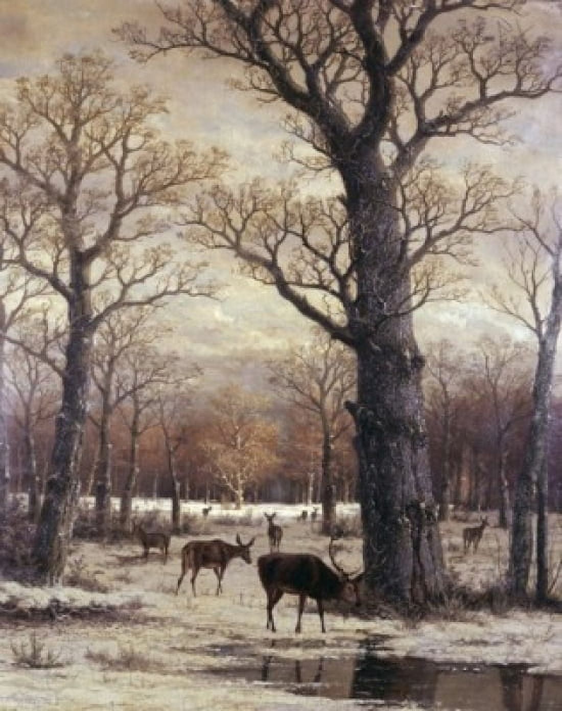 Deer Foraging Winter 19th C Artist Unknown Canvas Art - (24 x 36)