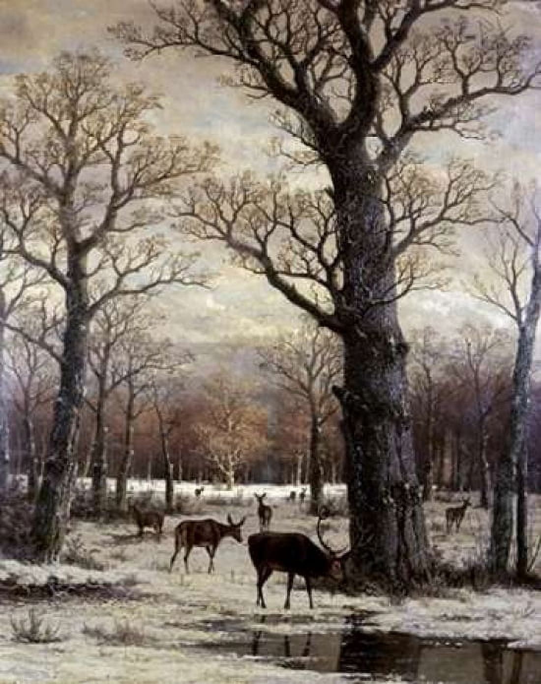 Deer Foraging Winter Canvas Art - Unknown (24 x 30)