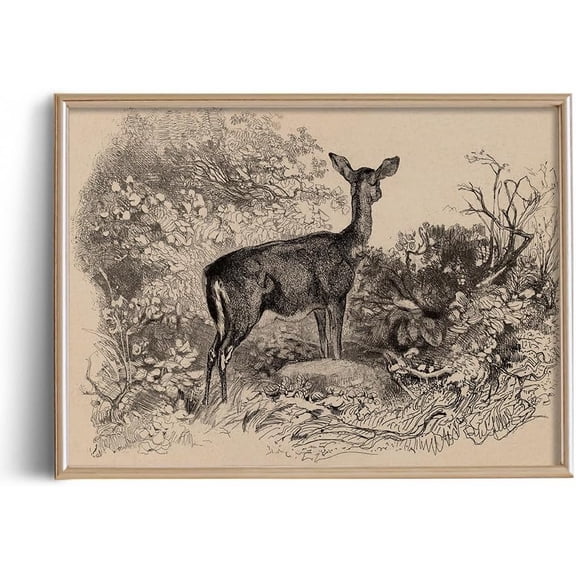 Deer in the Forest Trees Drawing Etching Rustic Gray Picture - Cute Deer Art Print Poster - Vintage Farmhouse Engrave Wall Art - Grey Neutral Sketch - Minimalist Mid Century French Country Room Decor