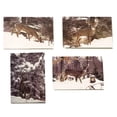 thumbnail image 1 of Deer Hunter Greeting Cards - Whitetail Deer Stationary Note Cards - 4 Winter Scenes, 1 of 4
