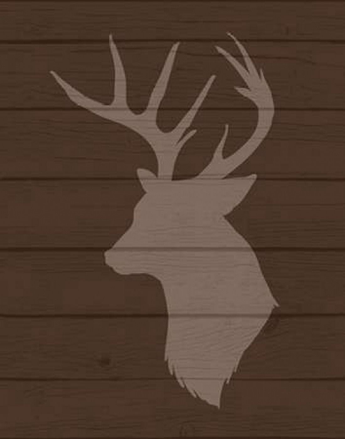 Deer II Canvas Art - Tamara Robinson (22 x 28)