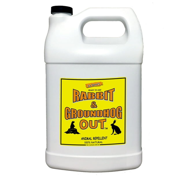 Deer Out Rabbit & Groundhog Repellent, All Natural formula, 1 Gallon ...