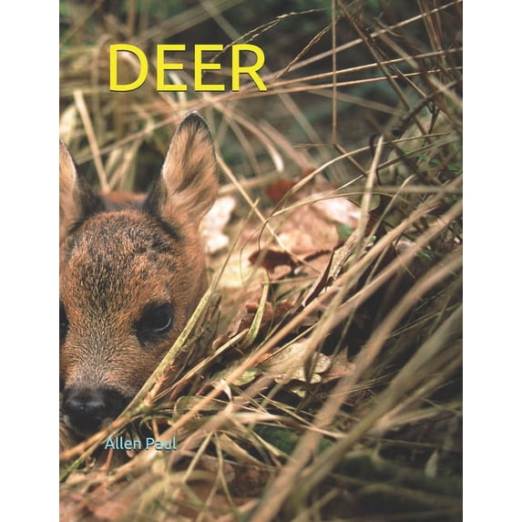 Deer (Paperback)