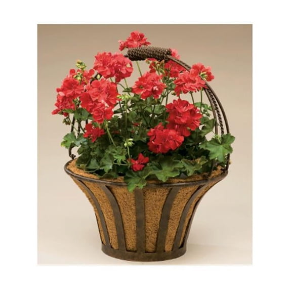 Deer Park D68 BA206X Solera 15 In. Metal Basket With Coco Liner