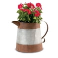 thumbnail image 1 of Deer Park Ironworks Outdoor Pitcher Planter, 1 of 2