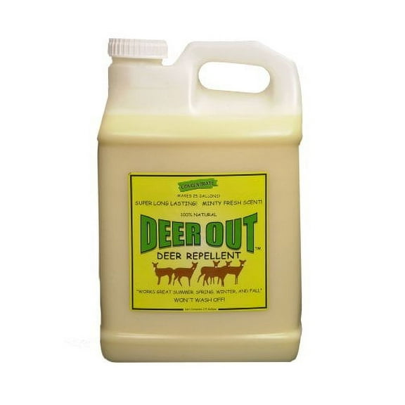 Deer Repellent: Deer Out deer repellent 2 1/2 gallon concentrate
