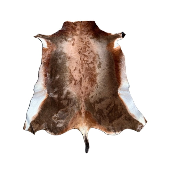 Deer Skin Blesbok Antelope Hide Around 4X3' Deer Skin African Antelope Buck Skin