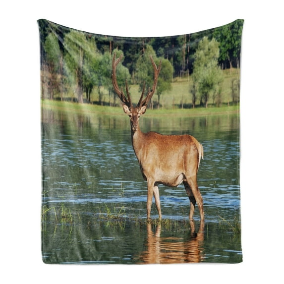 Deer Soft Flannel Fleece Throw Blanket, Mountain Animal in the Water a Forest Background Male Mammal Freedom Habitat, Cozy Plush for Indoor and Outdoor Use, 50" x 60", Green Brown, by Ambesonne