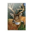 thumbnail image 1 of Deer Walking in the Woods Rectangle Acrylic Fridge Refrigerator Magnet, 1 of 5