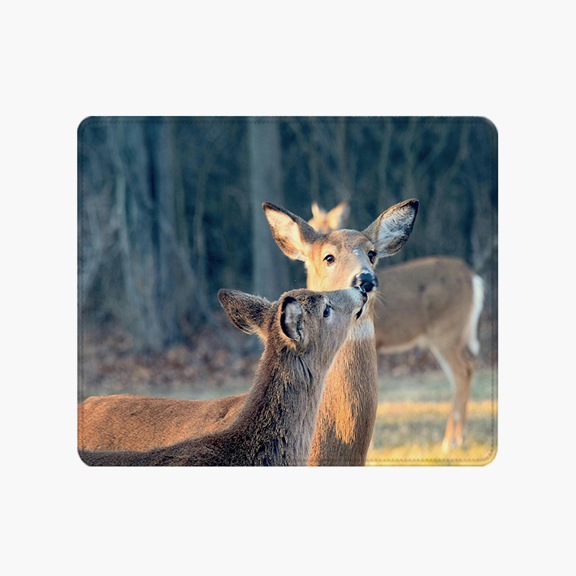 Deer Wildlife Photo Mouse Pad 9.44 x 7.87 Inches - Soft Polyester Desk Accessory for Office and Home