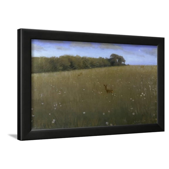 Deer at Dusk in a Meadow with Flowers, Animals Botanical Scenic Framed Art Print Wall Art by Harald SlottM�ller Sold by Art.Com