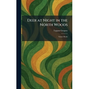 Deer at Night in the North Woods: Nature Books, (Hardcover)