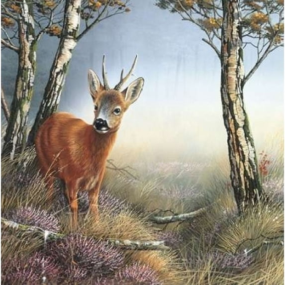 Deer in forest Poster Print by Jan Weenink (24 x 24)