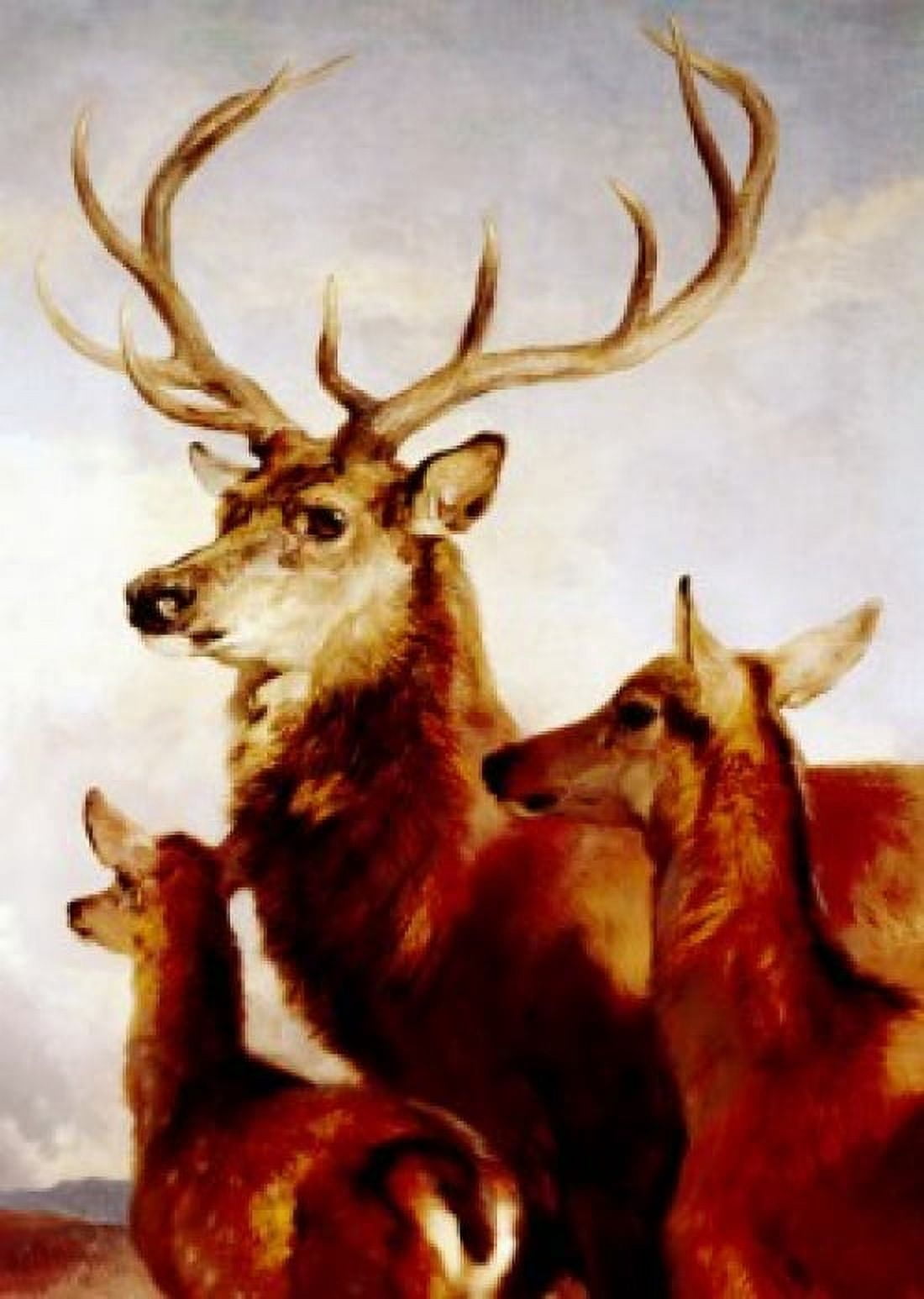 Deer male female and young portrait painted image Canvas Art - (18 x 24)