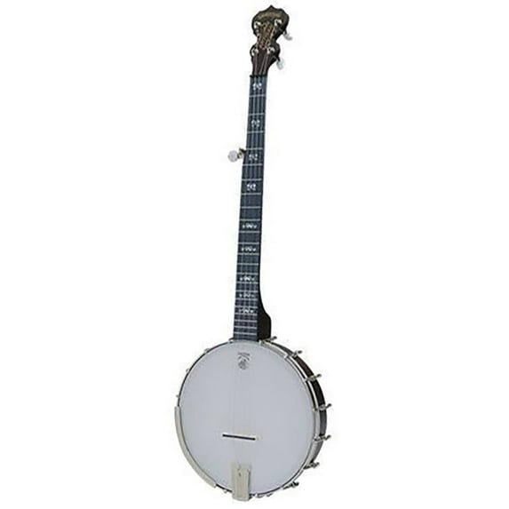 Deering Artisan Goodtime Openback 5-String Banjo