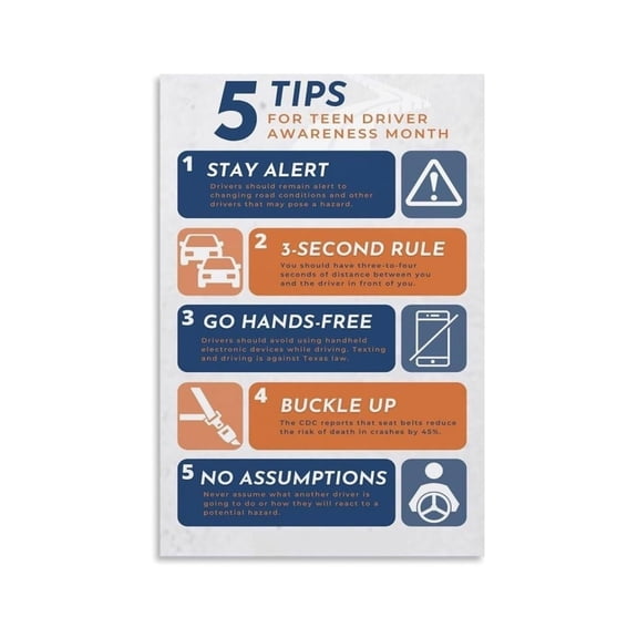 Defensive Driving Tips Poster - Educational Guide for Seat Belt Use and Distracted Driving Awareness poster