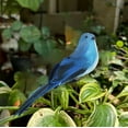 thumbnail image 1 of DefiDgd 10inch Large Parrot Statue Decor Outdoor Garden Decorations,Faux Parrot Statues for Outside Indoor Garden Patio Yard Lawn Living Room Decor(Blue), 1 of 6