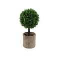 thumbnail image 1 of DefiDgd 9.5inch Faux Potted Plant Table Decoration,Small Fake Ball Shaped Tree Shrub Greenery Arrangements Faux Grass Plant for Home Office Table Room Shekf Decoration(A), 1 of 6