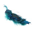 thumbnail image 1 of DefiDgd Blue Peacock Christmas Ornaments,3D Faux Peacock Birds with Plastic Feather,Glittered Faux Simulation Feathers Peacock for Christmas Tree Decor, 1 of 6