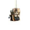 thumbnail image 1 of DefiDgd Christmas Cute Cat in The Bag Tree Hanging Ornament,Funny Cute Acrylic Hanging Ornament for Car Christmas Tree,Christmas Indoor Decorations Gifts(A), 1 of 8