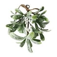 thumbnail image 1 of DefiDgd Christmas Faux Mistletoe with Berries Hanging Decor,Frosted Green Leaves Home Decoration for Holiday Christmas Winter Weddings and Party Decor(White), 1 of 3