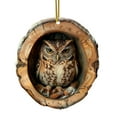 thumbnail image 1 of DefiDgd Christmas Owl In Tree Hollow Ornament,Acrylic Forest Animal Decoration, Forest Animal Decoration,Woodland Pendant for Xmas Tree Decorations, Hanging Ornament Home Party Decor(C), 1 of 5