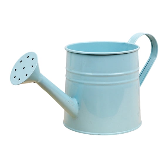 DefiDgd DefiDgd Small Watering Can,Mini Metal Watering Pot with Handle,Ideal for Indoor Plants, Outdoor Garden Plants,Home Office Use(Light Blue)