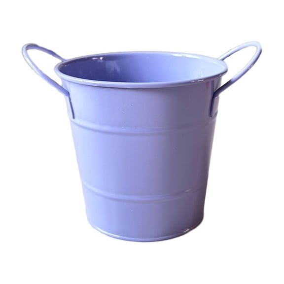 DefiDgd Double Handle Mini Metal Bucket,Multifunctional Storage Pot,Desktop Pen Holder Small Planter,Decorative Organizer for Desk Succulent Planting Craft Supplies(Purple)
