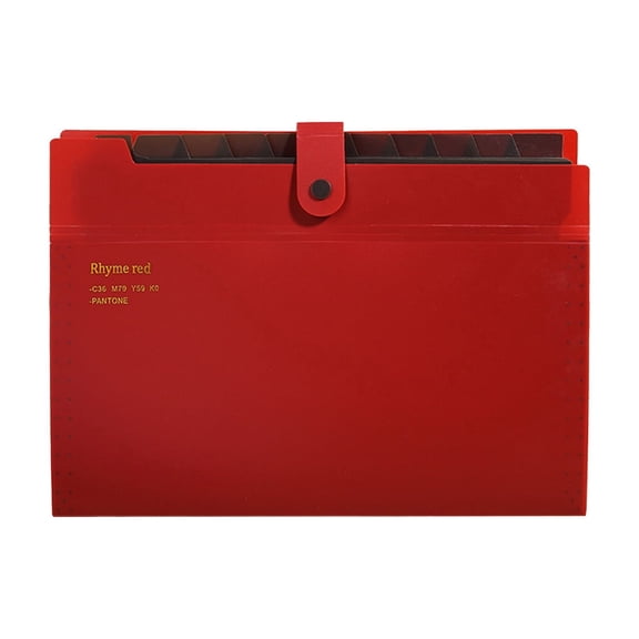 DefiDgd File Organizer,12 Pockets Expanding File Folder,Large-capacity Accordion-style Portable Document Storage Organize for Office College Home Supplies(Red)