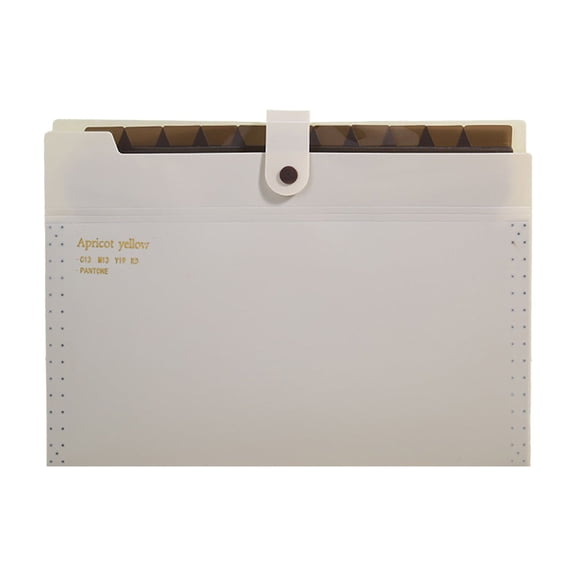 DefiDgd File Organizer,12 Pockets Expanding File Folder,Large-capacity Accordion-style Portable Document Storage Organize for Office College Home Supplies(White)
