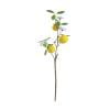 DefiDgd Light Blue Artificial Iris Flower Branch,Silk Fake Flower Pick,Vase Filler Wedding Bouquet for Home Vase Floral Arrangement Living Room Bedroom Party Decoration(Yellow)