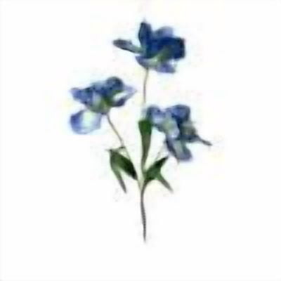 DefiDgd Light Blue Artificial Iris Flower Branch,Silk Fake Flower Pick,Vase Filler Wedding Bouquet for Home Vase Floral Arrangement Living Room Bedroom Party Decoration(Dark Blue)