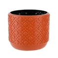 thumbnail image 1 of DefiDgd Mini Succulent Planter,Plastic Pots for Plants with Drainage,Planters for Indoor Plants,Small Decorative Flower Pots for Cactus and House Plants Living Room Home Decoration(Orange), 1 of 6