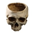 thumbnail image 1 of DefiDgd Resin Small Skull Shaped Planter Pot,Multi FunctionStorage Bowl for Candy Snacks Succulent Cactus,Gothic Desktop Ornament for Halloween Home Office Indoor Tabletop Decor(White-A), 1 of 6