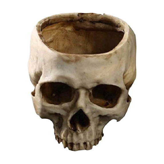 DefiDgd Resin Small Skull Shaped Planter Pot,Multi FunctionStorage Bowl for Candy Snacks Succulent Cactus,Gothic Desktop Ornament for Halloween Home Office Indoor Tabletop Decor(White-A)