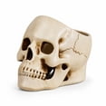 thumbnail image 1 of DefiDgd Resin Small Skull Shaped Planter Pot,Multi FunctionStorage Bowl for Candy Snacks Succulent Cactus,Gothic Desktop Ornament for Halloween Home Office Indoor Tabletop Decor(White-B), 1 of 9