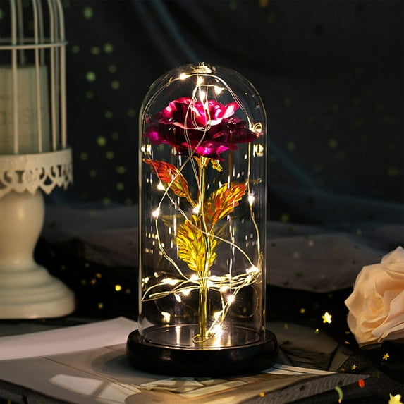 DefiDgd Valentine's Day Rose Gifts for Women,Glass Rose Flower Light Up Rose in Glass Dome,Birthday Xmas Valentines Gifts for Women Mom Wife Grandma(A)