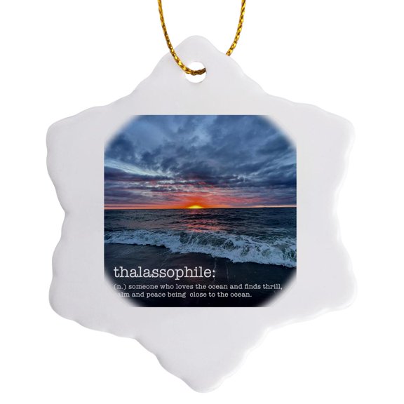 3drose, Definition of Thalassophile, 3 inch Snowflake Porcelain Ornament