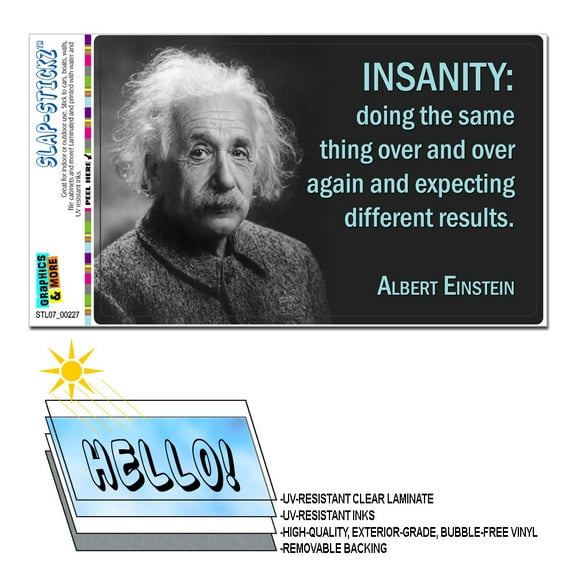 Definition of Insanity Einstein - Funny SLAP-STICKZ(TM) Premium Sticker
