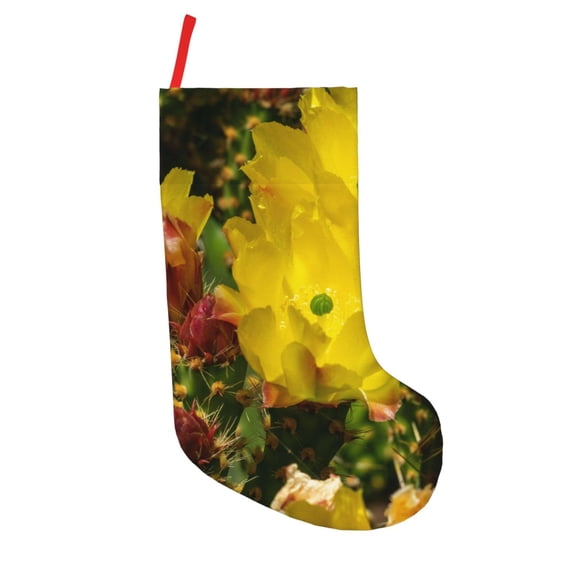 Defioc Cactus Flowers for Christmas Stockings 18" Personalized Holiday Stocking for Family, Farmhouse Decor, Xmas Tree Decoration, 1 Pack