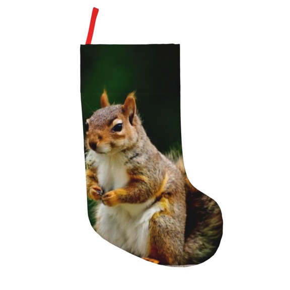 Defioc Squirrels Eating Peanuts On The Tree for Christmas Stockings 18" Personalized Holiday Stocking for Family, Farmhouse Decor, Xmas Tree Decoration, 1 Pack