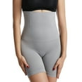 thumbnail image 1 of Defitshape Women's Thigh Slimmer Body Shaper Hip Lifter Tummy Control Shapewear Shorts High Waisted Grey Large, 1 of 2
