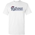 thumbnail image 1 of Deflatriots Deflate Gate Funny Parody Football DT Adult T-Shirt Tee, 1 of 2