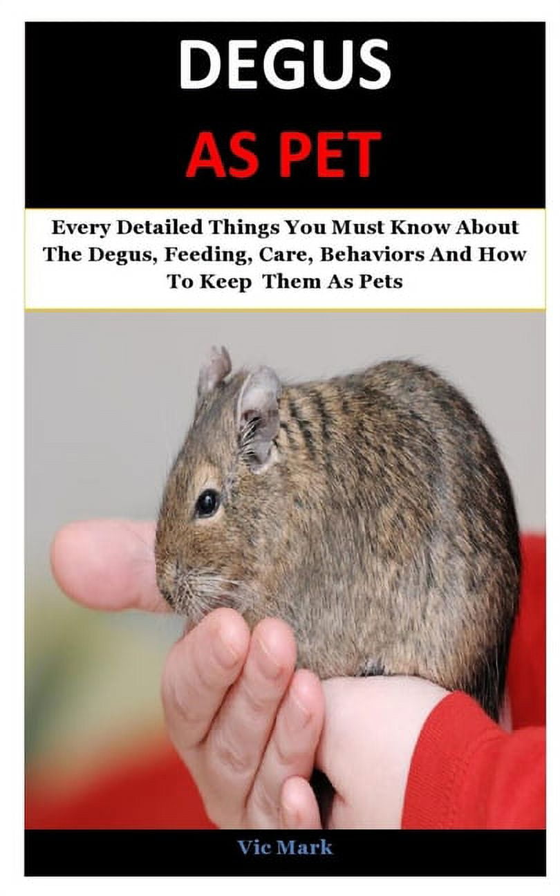 Degu Care Degus As Pet: Every Detailed Things You Must Know About
