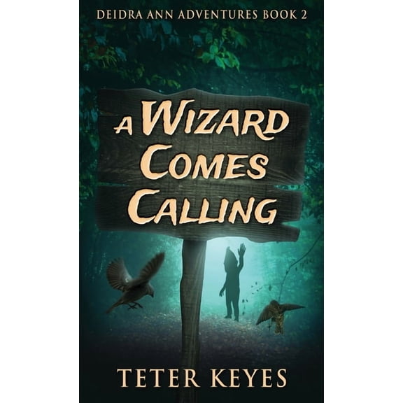 Deidra Ann Adventures A Wizard Comes Calling, Book 2, (Hardcover)