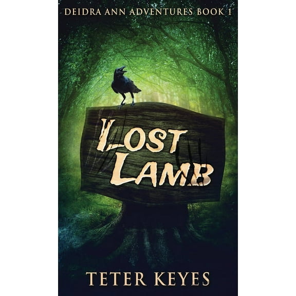 Deidra Ann Adventures Lost Lamb, Book 1, (Hardcover)