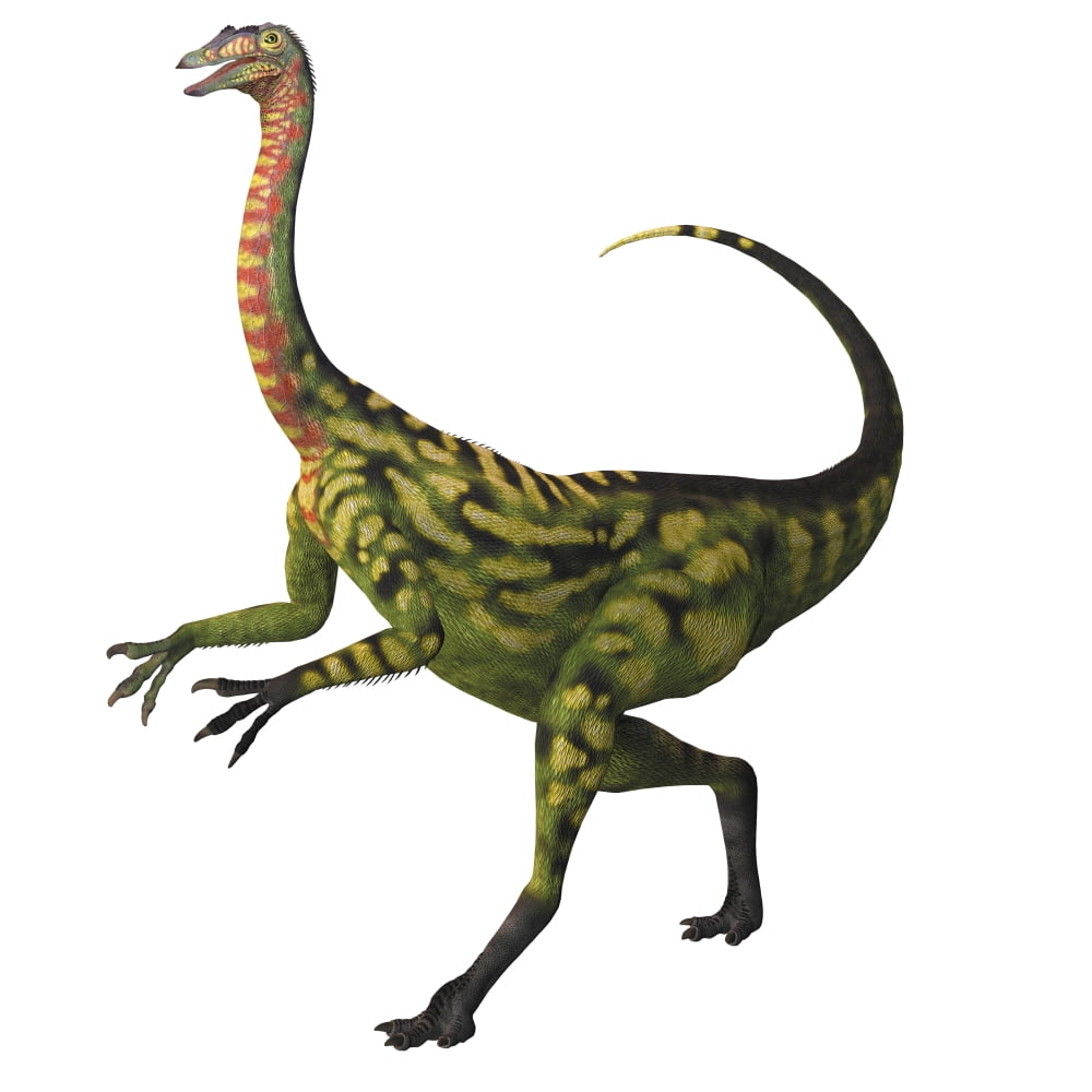 Deinocheirus a large carnivorous dinosaur Canvas Art - Corey FordStocktrek Images (28 x 28)