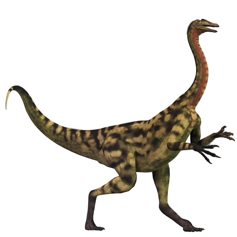 Deinocheirus dinosaur Canvas Art - Corey FordStocktrek Images (29 x 29)