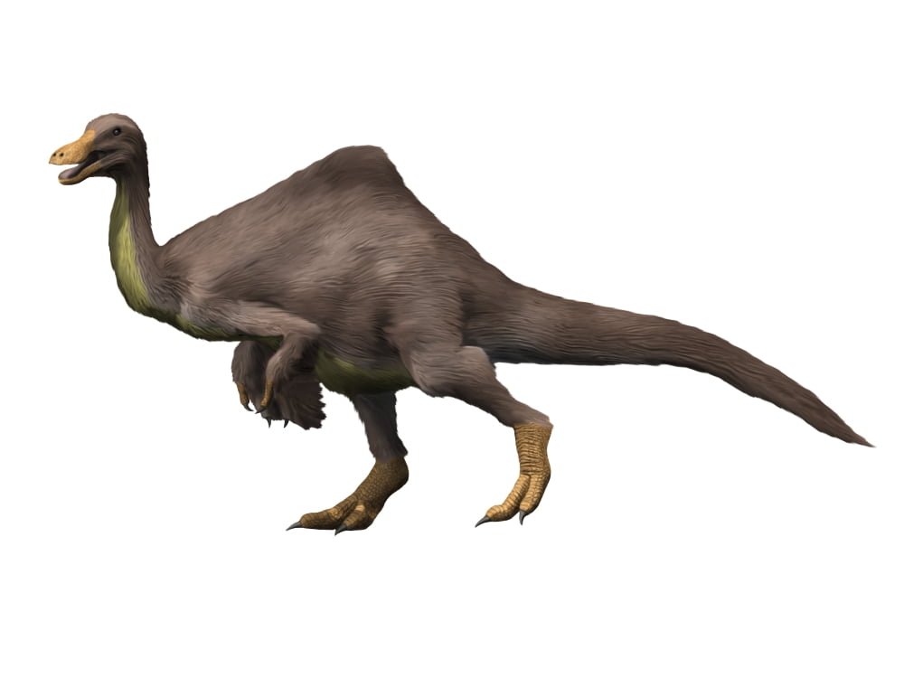 Deinocheirus is an ostrich-like dinosaur of the Late Cretaceous period Canvas Art - Nobumichi TamuraStocktrek Images (33 x 25)