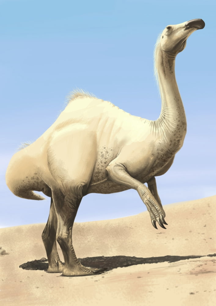 Deinocheirus standing under the Sun Canvas Art - Michele DessiStocktrek Images (24 x 33)